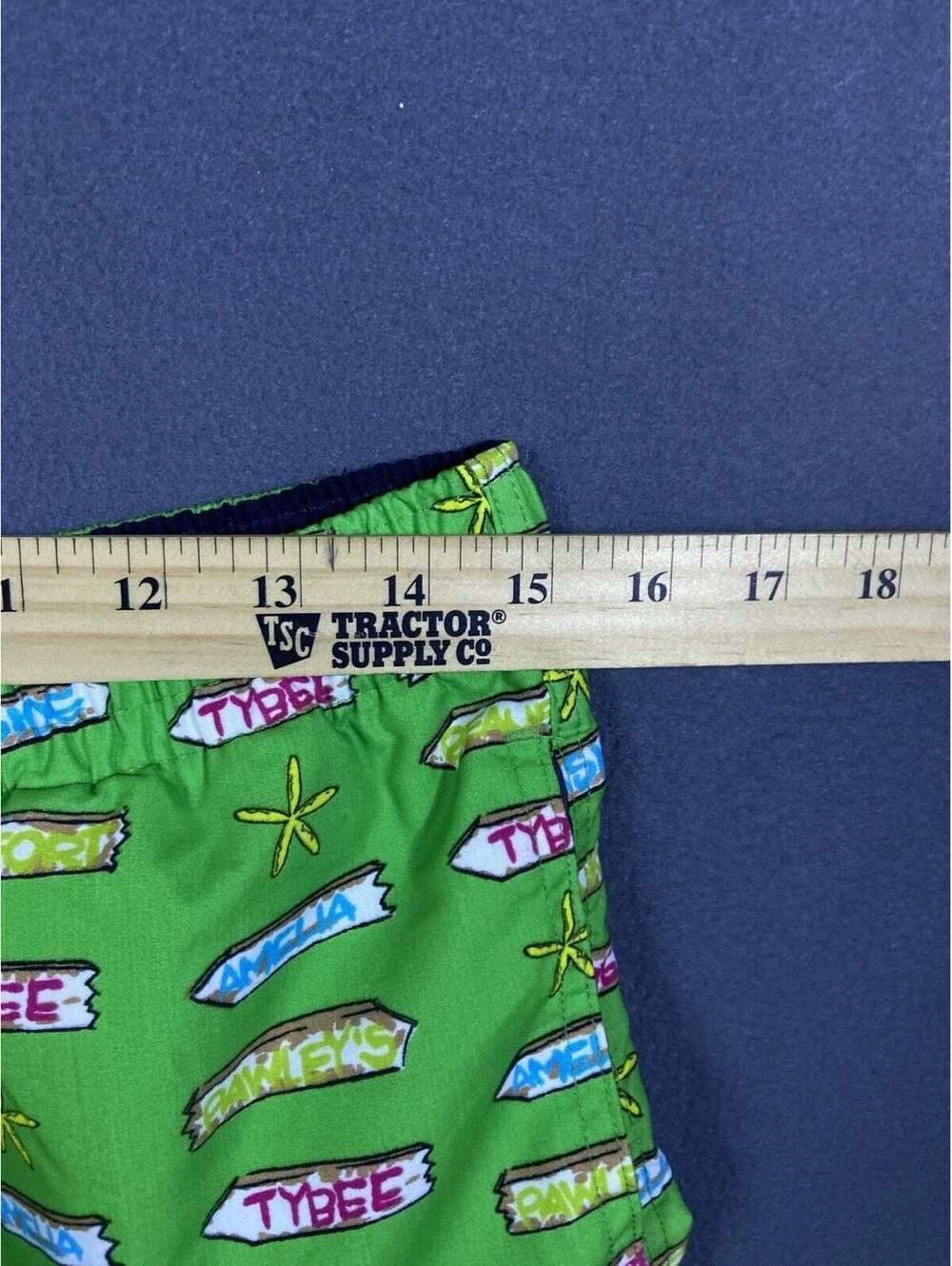 Southern Proper Men's Lined Swim Trucks M 30-32 Georgia Islands Tybee St. Simons